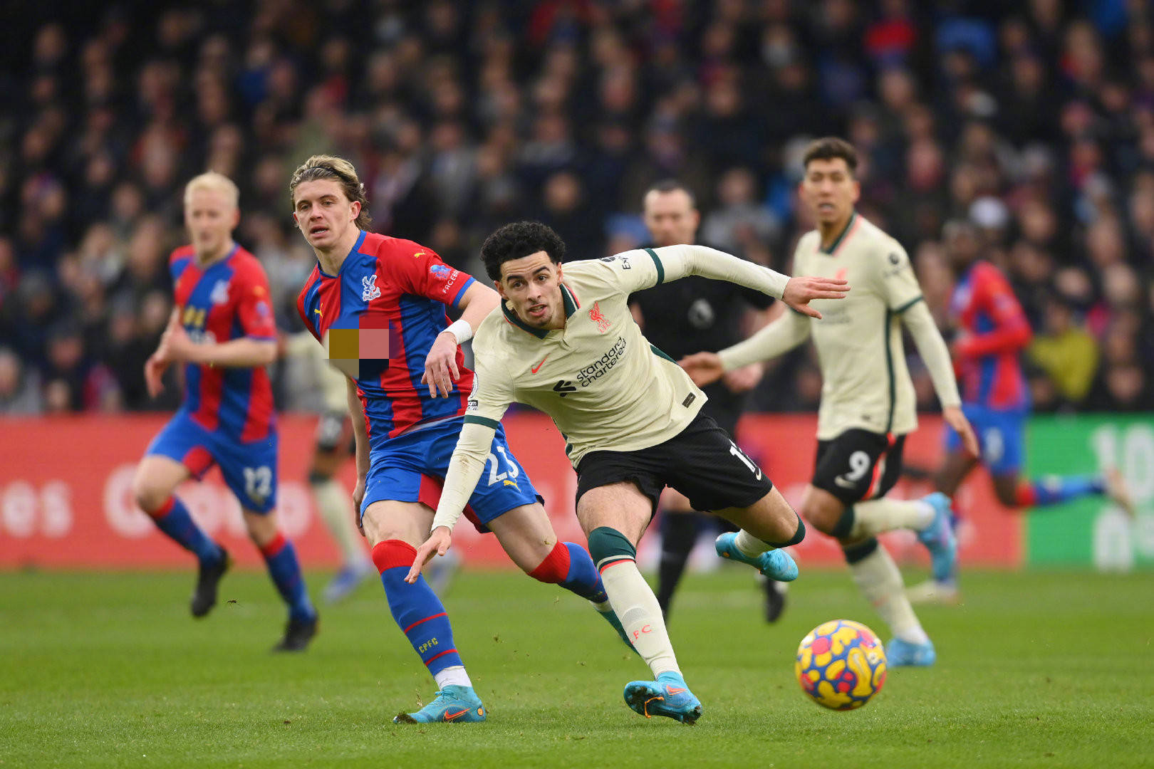 匈牙利中场 匈牙利中场